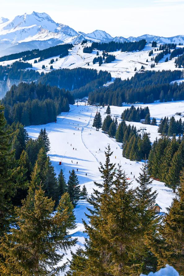 CHABLAIS GRAND MASSIF : Flaine - Carroz - Morzine - Avoriaz
